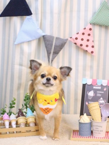 20250504れおくん